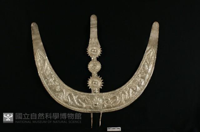 頭花藏品圖，第1張