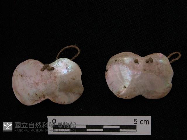 女耳飾藏品圖，第1張