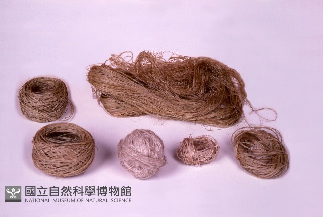 線團藏品圖，第1張