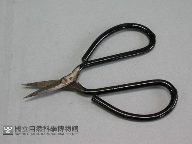 剪紙工具(剪刀)藏品圖，第1張