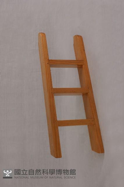 梯子(大)藏品圖，第1張