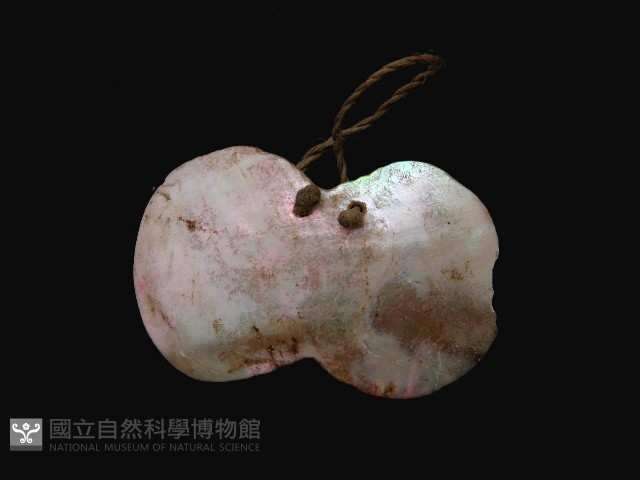 女耳飾藏品圖，第1張