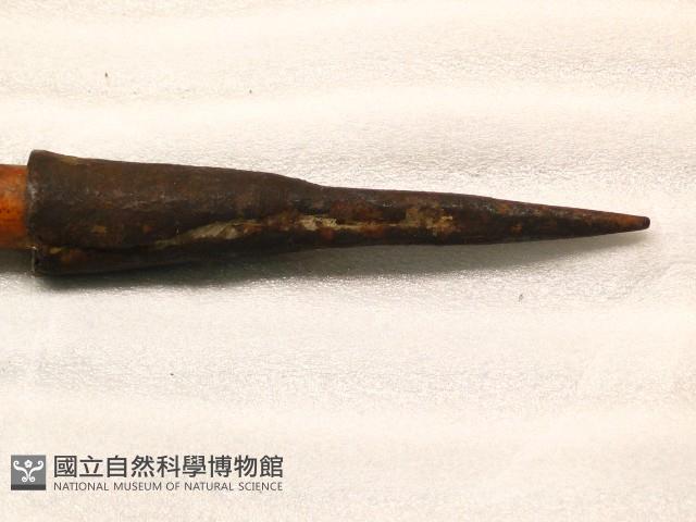 槍-套藏品圖，第1張