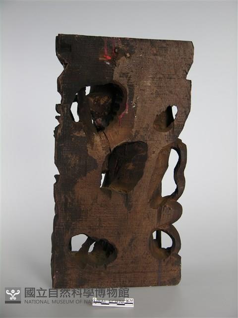 人物藏品圖，第3張