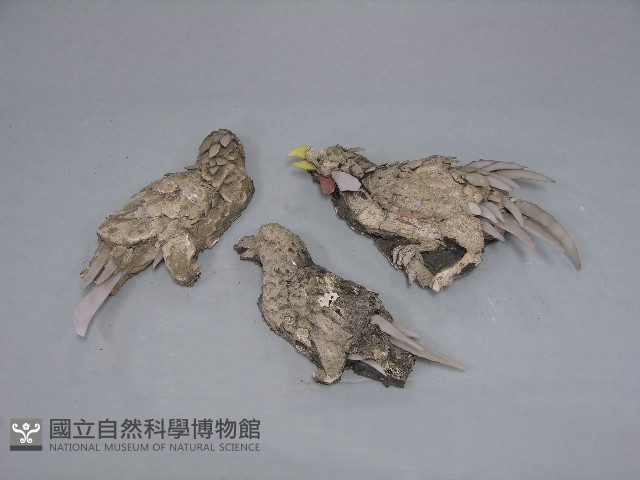 八角斗藏品圖，第187張