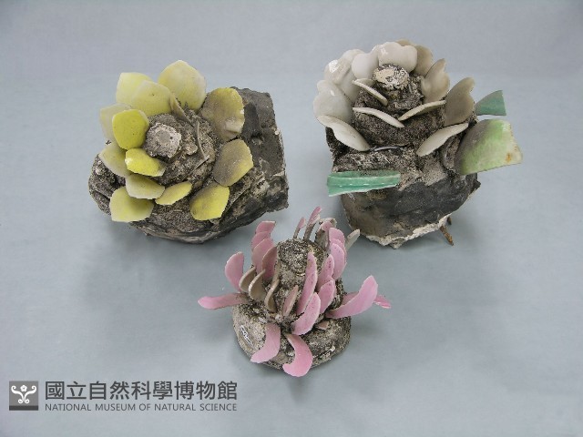 八角斗藏品圖，第197張