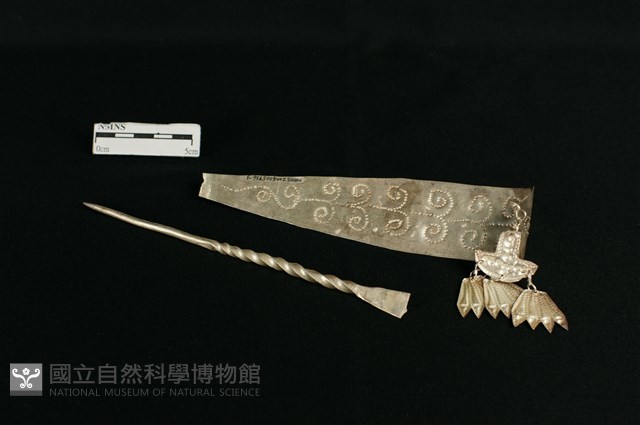 頭花藏品圖，第2張