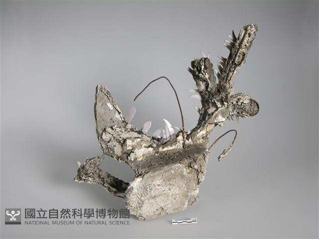 剪黏(鳳凰)藏品圖，第2張