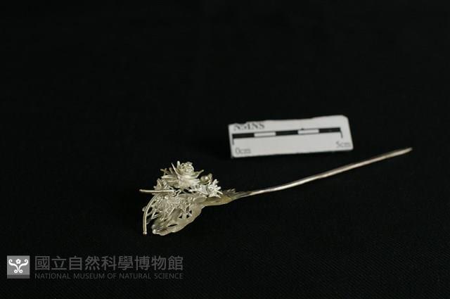 頭花藏品圖，第2張