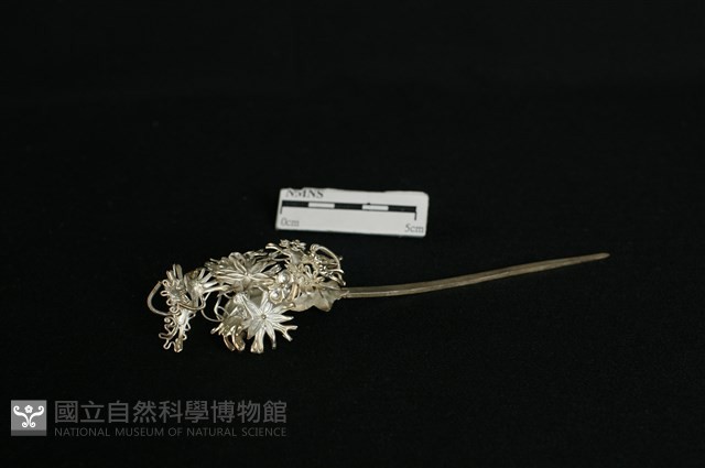 頭花藏品圖，第2張