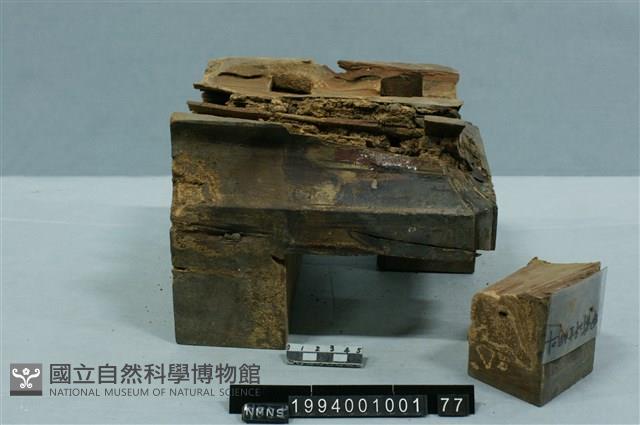 屋宅構件(斗)藏品圖，第2張