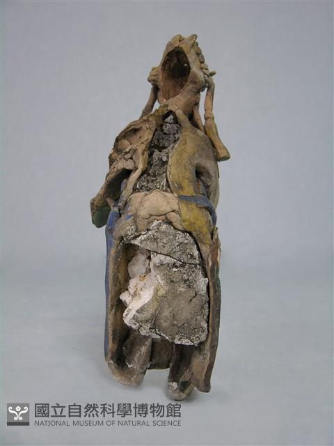 Accession Number:0000001421.0166 Collection Image, Figure 2, Total 2 Figures