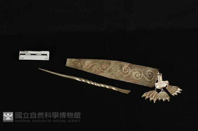 頭花藏品圖，第2張