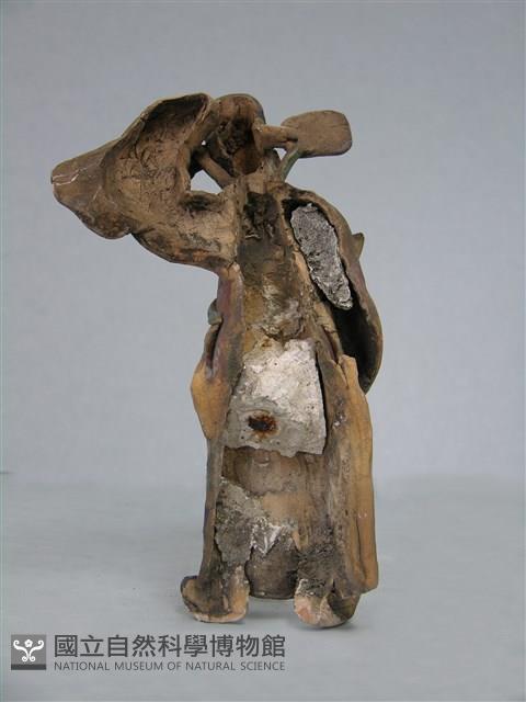 交趾陶藏品圖，第2張