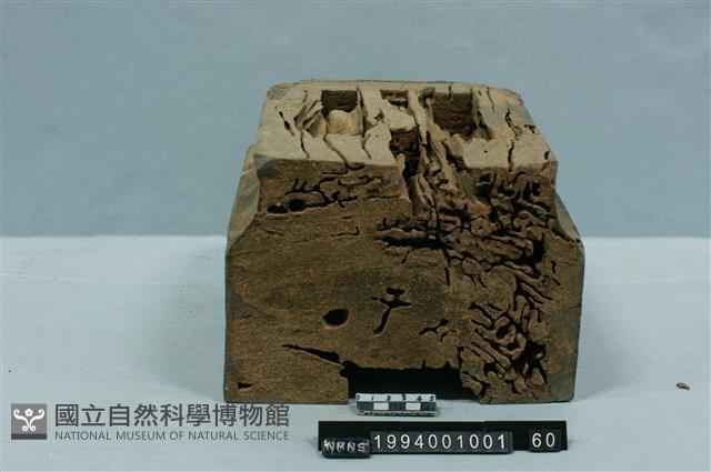 屋宅構件(斗)藏品圖，第2張