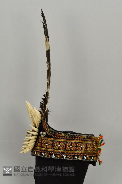 Accession Number:2007004001.0001 Collection Image, Figure 2, Total 2 Figures