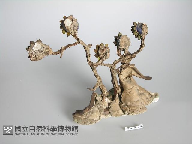 別徐庶藏品圖，第2張