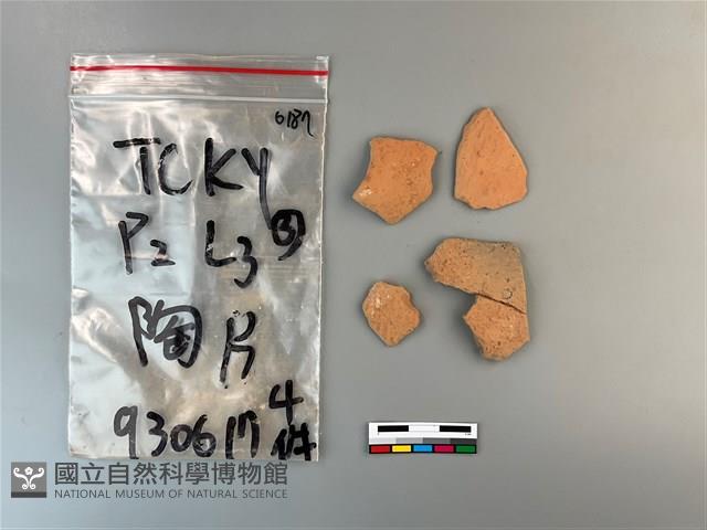 陶片藏品圖，第2張