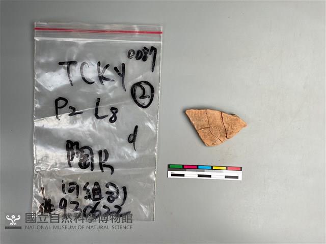 陶片藏品圖，第2張