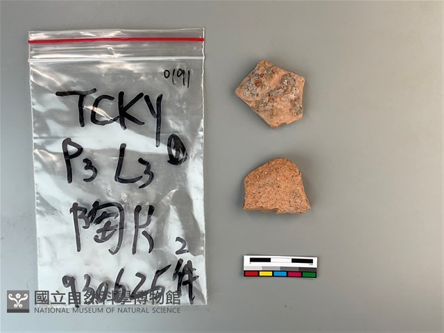 陶片藏品圖，第2張