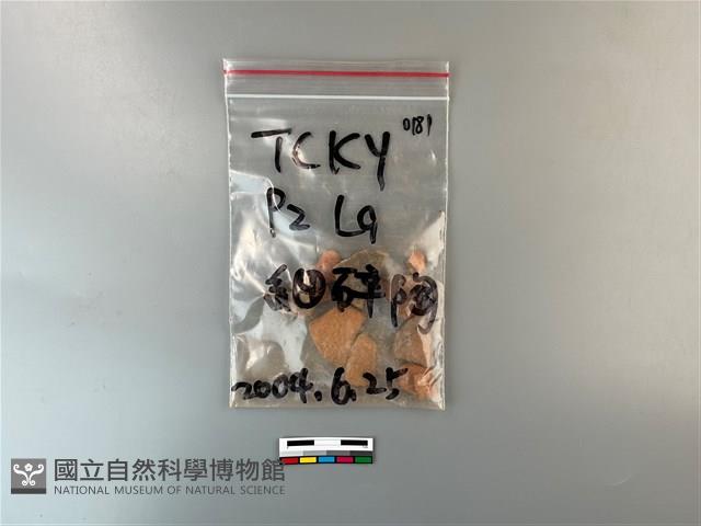 陶片藏品圖，第1張