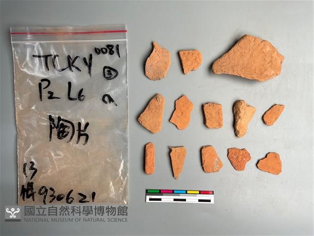 陶片藏品圖，第2張