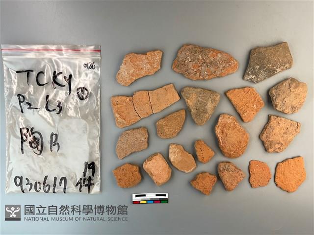 陶片藏品圖，第2張