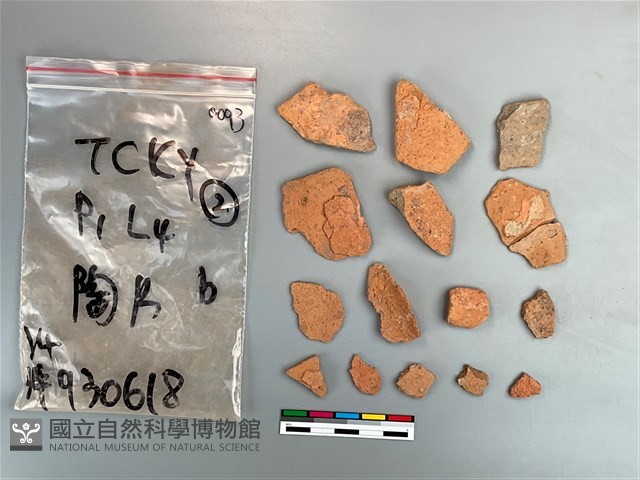 陶片藏品圖，第2張