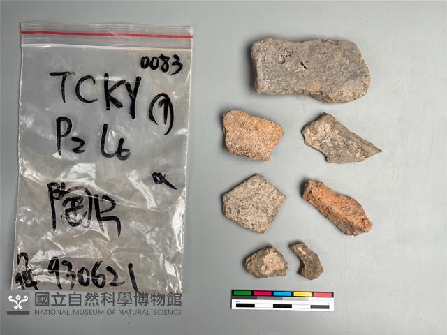 陶片藏品圖，第2張