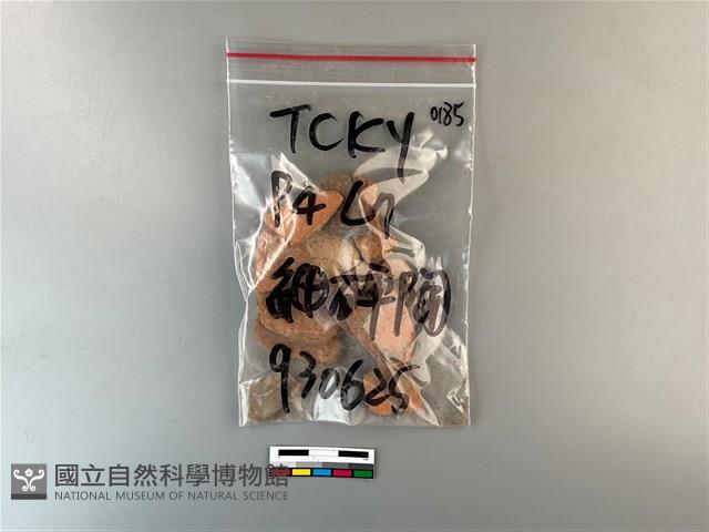 陶片藏品圖，第1張