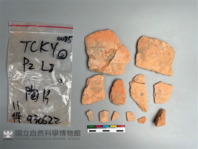 陶片藏品圖，第2張