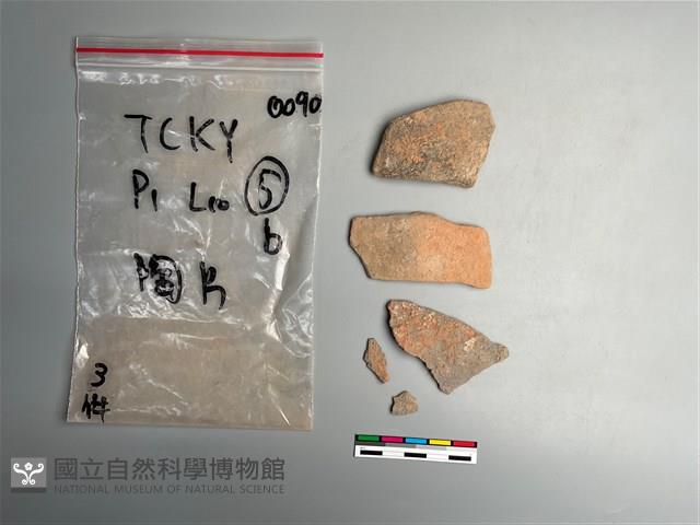 陶片藏品圖，第2張