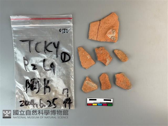 陶片藏品圖，第2張