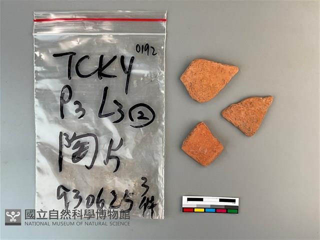 陶片藏品圖，第2張