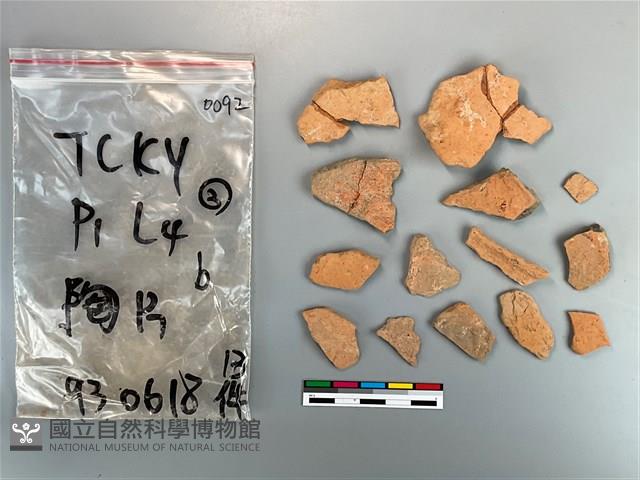 陶片藏品圖，第2張