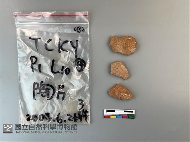 陶片藏品圖，第2張