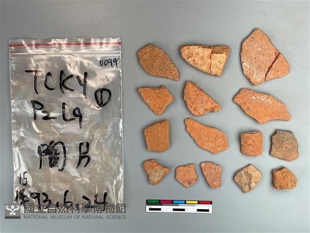 陶片藏品圖，第2張