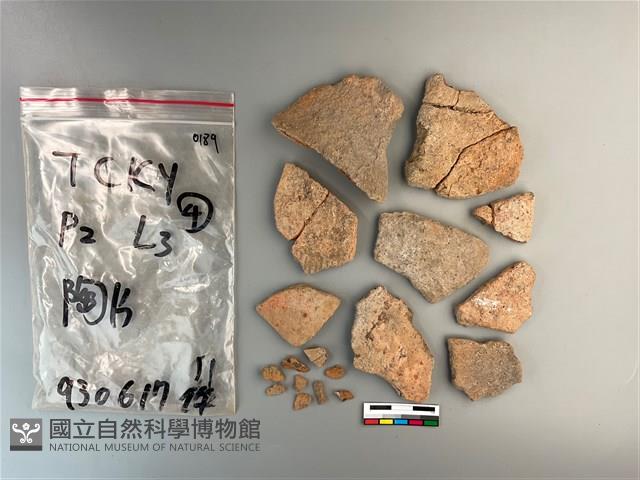 陶片藏品圖，第2張