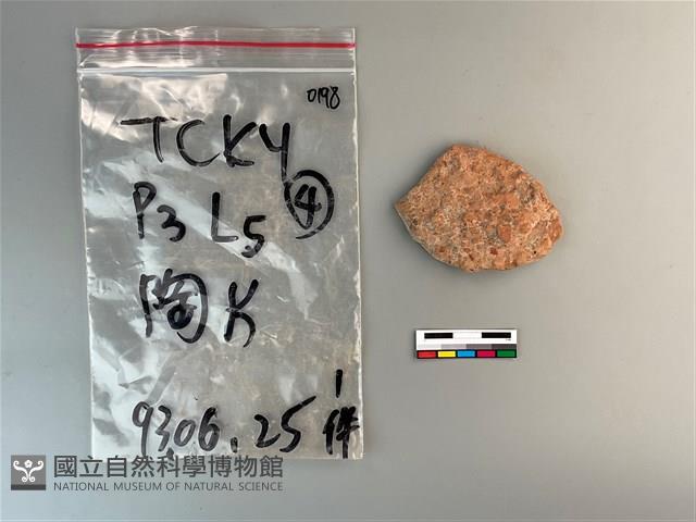 陶片藏品圖，第2張