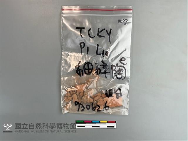 陶片藏品圖，第1張