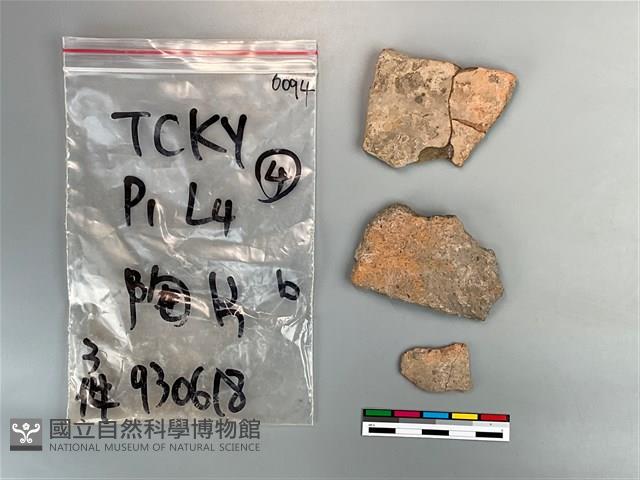 陶片藏品圖，第2張