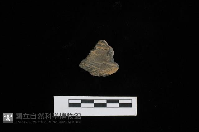 陶片藏品圖，第1張