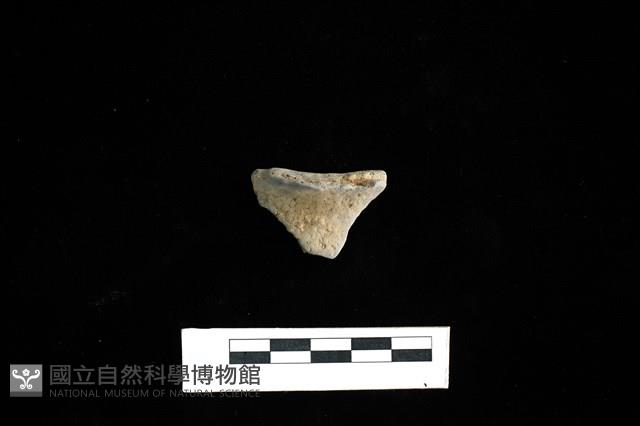 陶片藏品圖，第1張