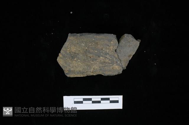 陶罐藏品圖，第1張