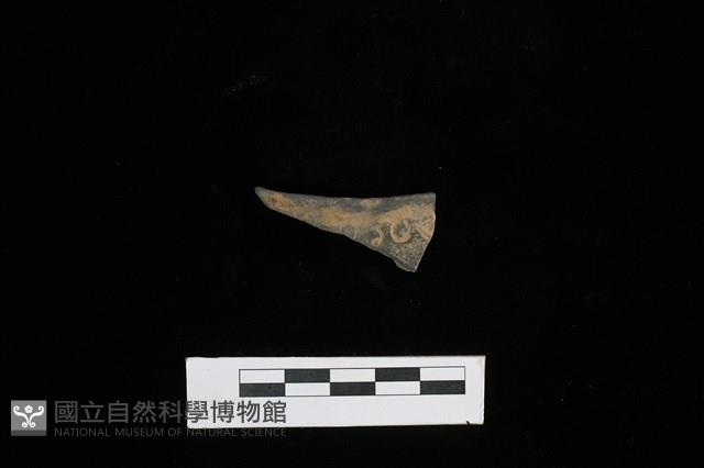 陶片藏品圖，第1張