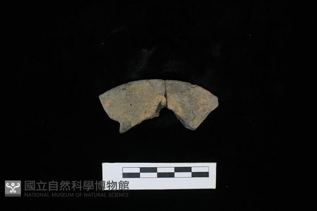 陶罐藏品圖，第1張