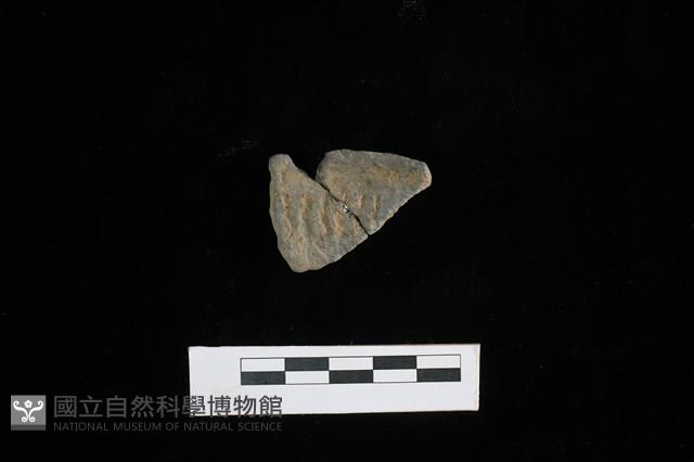 陶片藏品圖，第1張