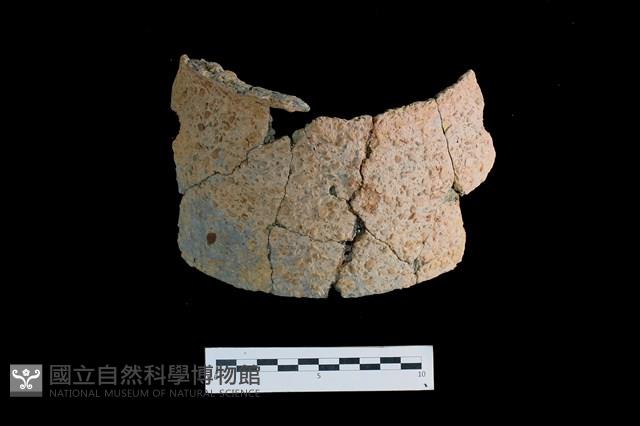 陶片藏品圖，第1張