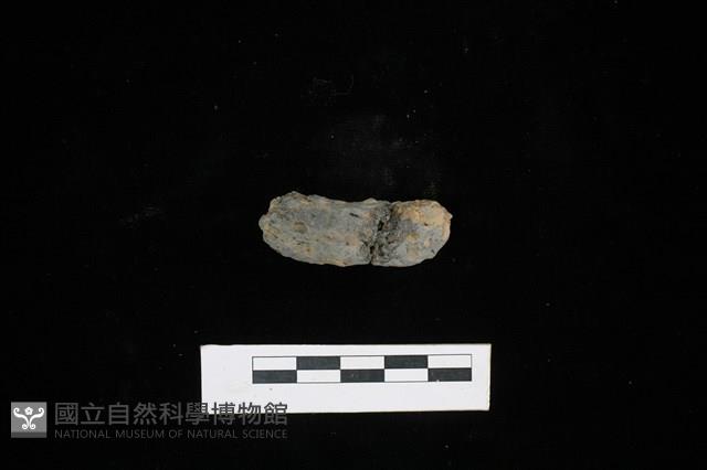 陶把藏品圖，第1張