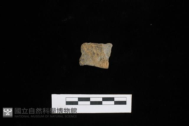 陶片藏品圖，第1張
